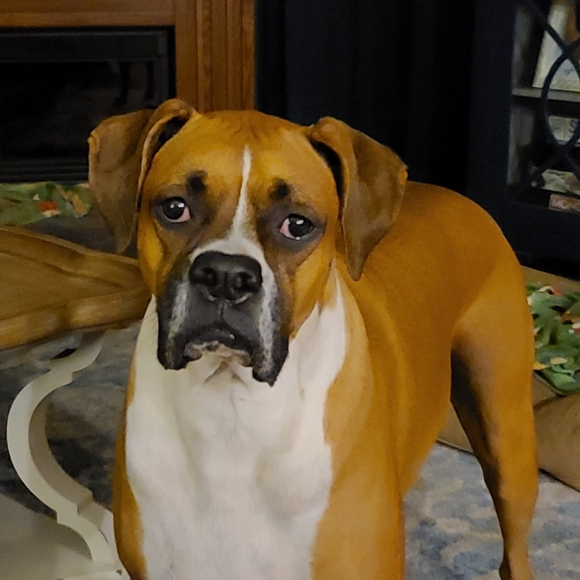 Meet your Posher, Annette - Picture 7 of 15